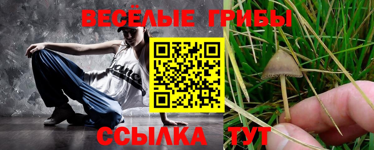 Галлюциногенные грибы мухоморы  Вход с VPN  Галлюциногенные грибы GOLDEN TEACHER  Сердобск 